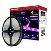 Nuvo Dimension Pro Tape Light Strip 32 ft. RGB + Tunable White - J-Box - IP65 - Starfish IOT - RF Remote 64/144